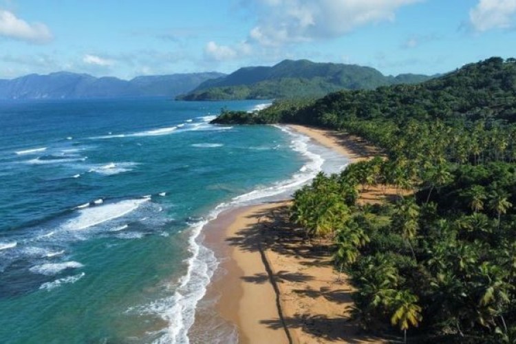 dominikana samana (Kopiowanie)